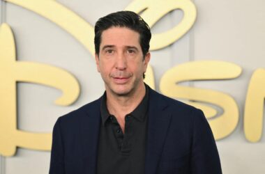 David Schwimmer Couldn’t Listen to the ‘Friends’ Theme Song for ‘Quite a While’ After Show Ended 11 David Schwimmer Couldn’t Listen to the ‘Friends’ Theme Song for ‘Quite a While’ After Show Ended