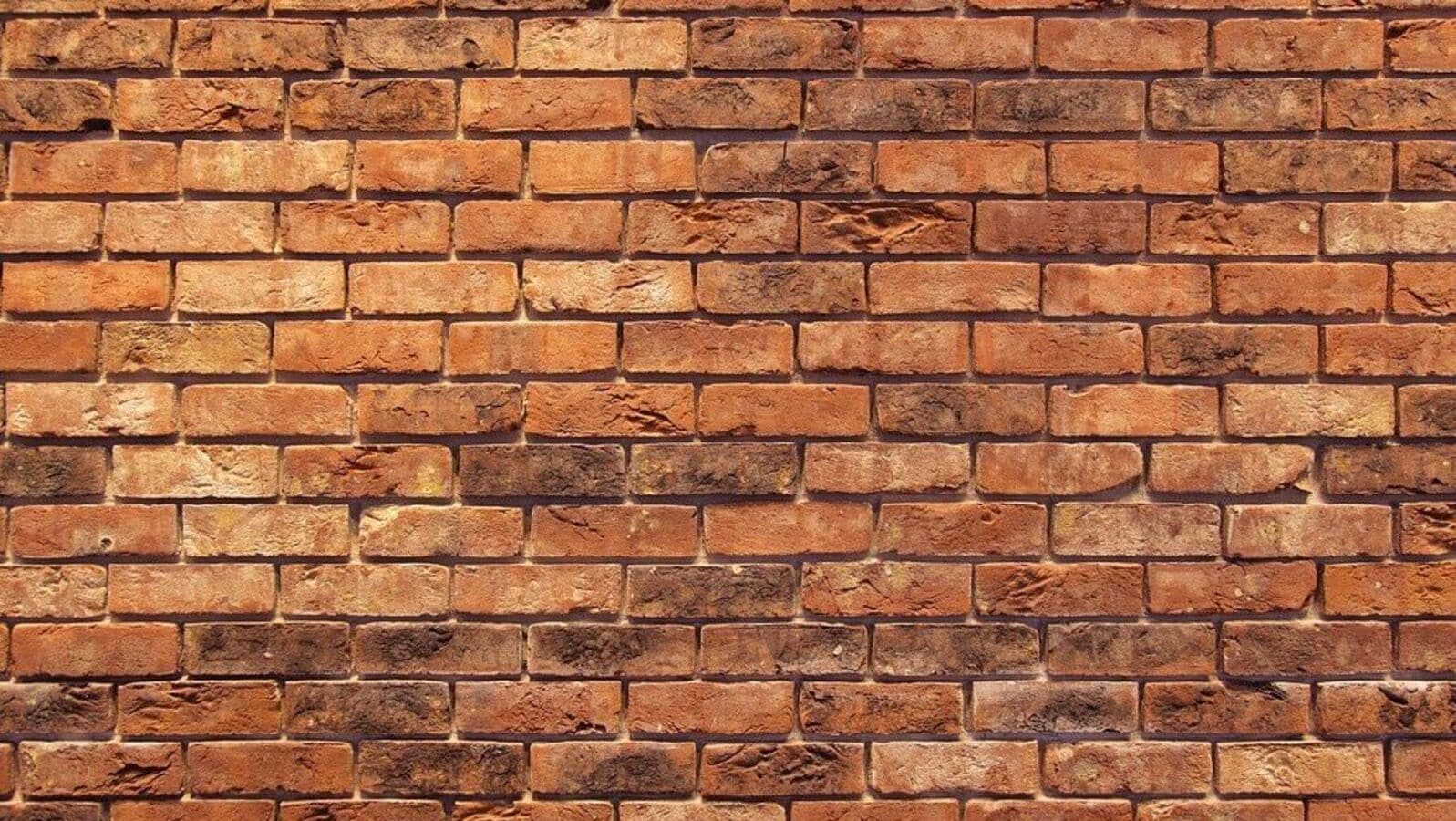 Madurai: Wall collapse kills 2 women, 10-year-old boy amid heavy rainfall; investigation underway | Today News 6 menu