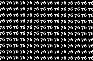 Only sharp eyes can find 75 and 79 hidden in this optical illusion | Today News 16 menu