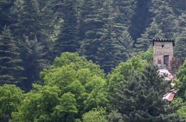 Pakistan Army fires unprovoked across LoC on 10th day; Indian Army responds | Today News 14 menu