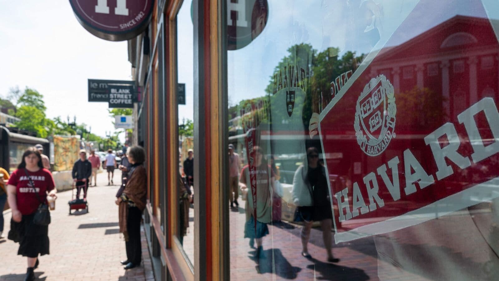 Trump vs Harvard: US President demands 15% cap on foreign students, accuses university of ‘disrespecting’ America | Today News 6 menu