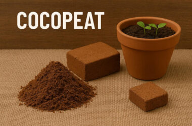 Premium Cocopeat for Healthy Plant Growth 19 Cocopeat