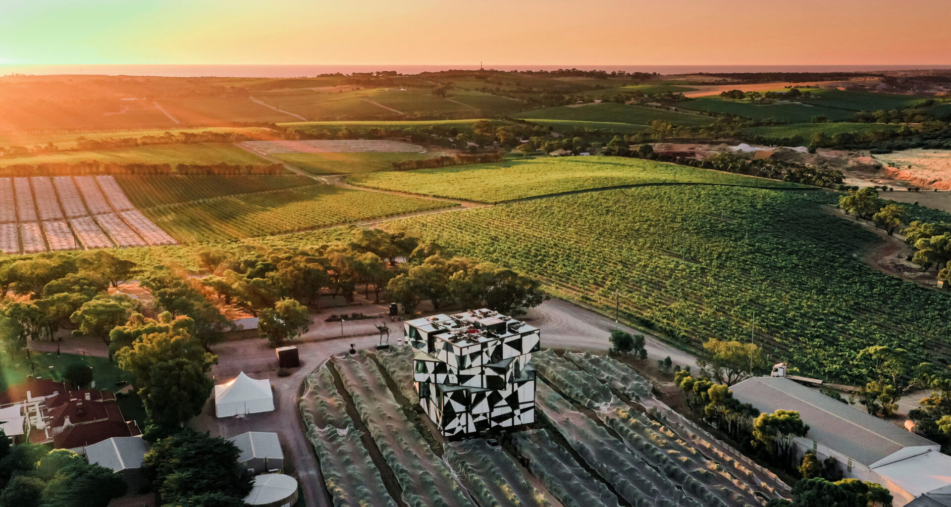 The Ultimate Guide to Planning a McLaren Vale Wine Tour from Adelaide 8 McLaren Vale Wine Tour