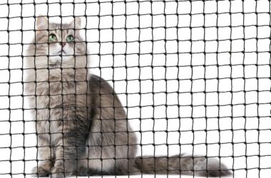 Balcony Cat Net: Ensuring Safety and Freedom for Your Feline Friends 11 Balcony Cat Net: Ensuring Safety and Freedom for Your Feline Friends