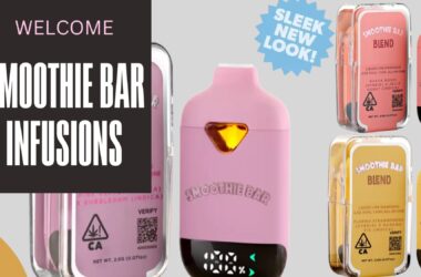 How to Create A Perfect Smoothie-Inspired Vape Blend 17 Cover_Smoothie (3)