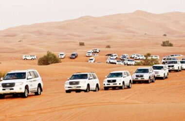 Luxury Private Desert Safari Dubai with Professional Guide and Transfers 17 Desert Safari Dubai with Professional