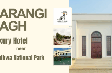 Top Reasons to Choose Narangi Bagh – A Luxury Hotel near Dudhwa National Park 4 Luxury Hotel