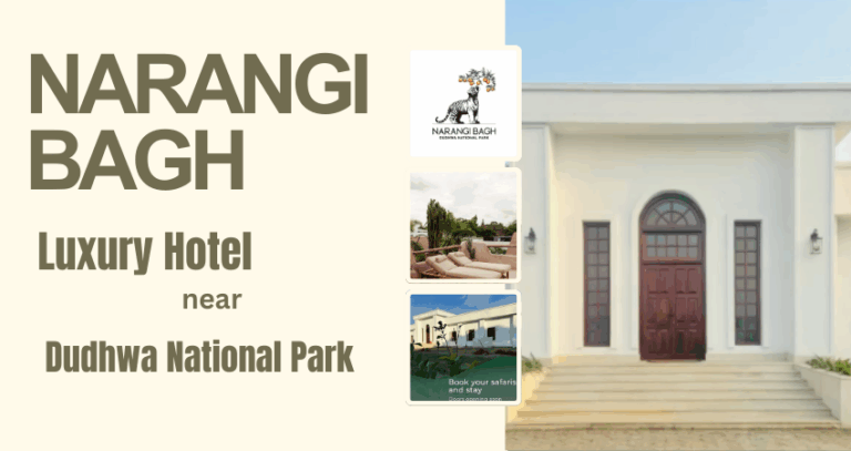Top Reasons to Choose Narangi Bagh – A Luxury Hotel near Dudhwa National Park 1 Luxury Hotel