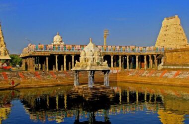 One Day Miracle: Tirupati Temple Tour from Chennai 15 One Day Miracle: Tirupati Temple Tour from Chennai