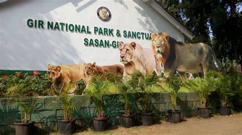 Girnar Nature Safari Park: A Wild Symphony of Nature, Culture, and Conservation 2 Girnar Nature Safari Park: A Wild Symphony of Nature, Culture, and Conservation