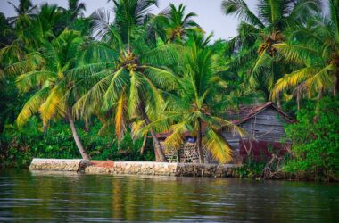 Perfect Kerala Itinerary 10 Days for an Unforgettable Trip 13 kerala itinerary 10 days