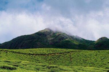 7 Days Kerala Backwater Tour – Houseboat Cruises & Scenic Itinerary 13 7 days kerala backwater tour