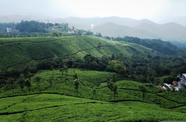 Kerala Private Tours – Customized Itineraries & Luxury Travel Experiences 14 kerala private tours
