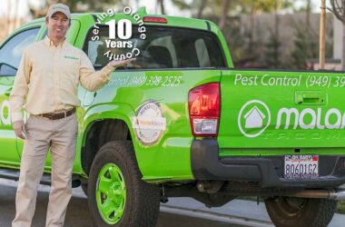 Simple Household Tweaks That Keep Pests at Bay Naturally 5 pest control