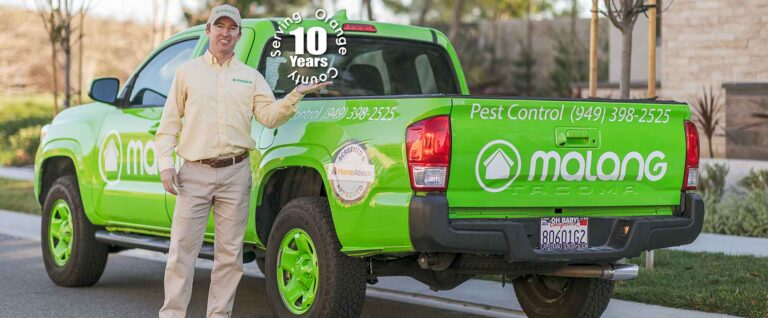 Simple Household Tweaks That Keep Pests at Bay Naturally 2 pest control